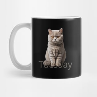 Tuesday cat. So fluffy! Mug